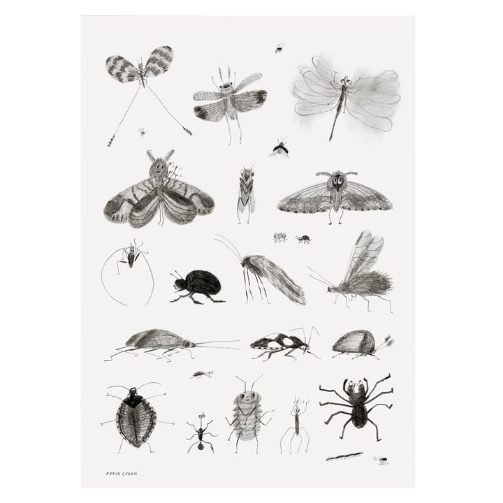 Bugs juliste - 50x70 cm - Fine Little Day