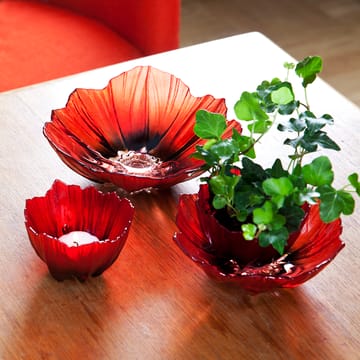 Poppy kynttilälyhty - Punainen-musta - Målerås Glasbruk