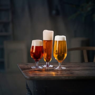 Beer lager -olutlasi 4 kpl - 60 cl - Orrefors